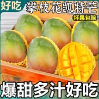 粤迎 攀枝花凯特芒果新鲜甜心芒果当季特产水果现摘 5斤独享净4.5斤 A+级精选