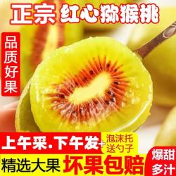 果迎鲜 四川红心猕猴桃 12个65-80g