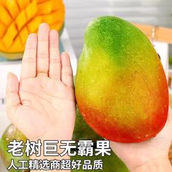 粤迎 攀枝花凯特芒果 A+级精选大果 5斤装