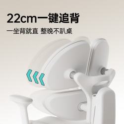 黑白调 学习桌  A2三代+书架+G5Pro三背灰色 120*60cm