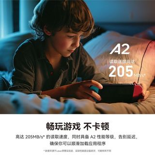 雷克沙 TF卡 高速读取 microSD存储卡