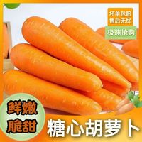京喜自营-专用品牌 新鲜胡萝卜现挖胡萝卜饭店餐饮直供农家自种蔬菜凉拌沙拉炒菜 1斤含箱