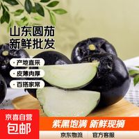 京喜自营-专用品牌 产地批发紫皮圆茄子紫黑圆茄长茄新鲜老农现摘生鲜 山东圆茄 2斤 尝鲜款 2斤