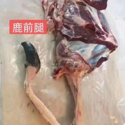 土鲜福 新鲜现杀鹿肉 鹿排 鹿腩 两斤 顺丰包邮