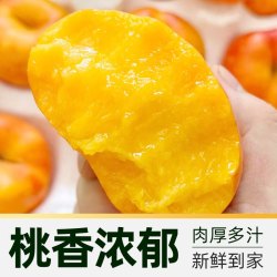 孙悟空 大连黄金油蟠桃 4斤（单果重100g+）