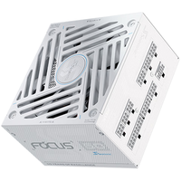 海韵 FOCUS v5 GX 850W 白金认证 ATX3.1 白色电源