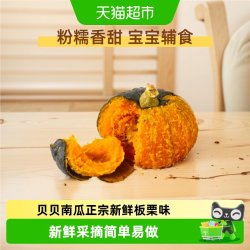 鲁香德 贝贝南瓜2斤