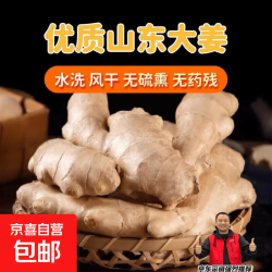 山东大姜优质生姜老姜风干姜辛辣十足带箱称重产地直发 尝鲜250g