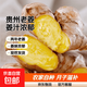 贵州农家特产小黄姜新鲜生姜老姜月子姜姜汁多 小黄姜 净重250g