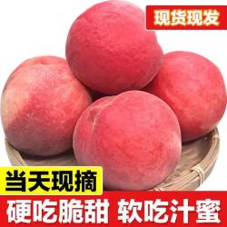 陇百味 山西水蜜桃 脆甜软硬两吃 净果4.5斤