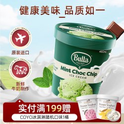 Bulla 薄荷巧克力曲奇香草大桶冰淇淋 460ml/290g