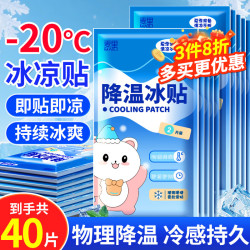 小林康夫 冰凉贴降温神器40片 清凉贴防暑降温套装夏季手机工地厨房降温贴