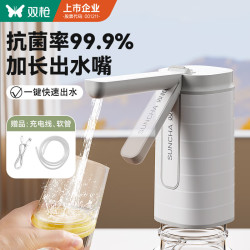 双枪 静音 电动抽水泵