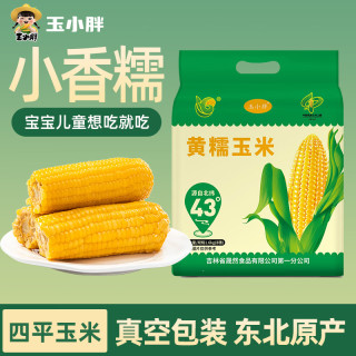 今日必买：玉小胖 东北黄糯玉米8根>3.2斤 软糯甜黏苞米 真空包装低脂早餐粗粮代餐 铝箔黄糯8根1.6kg