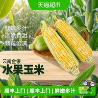 移动端、88VIP:泰壹榴 云南金银水果玉米新鲜玉米3斤顺丰上门云南新鲜甜金银水果玉米棒子包谷新鲜蔬
