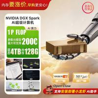 英伟达 DGX Spark 4TB NVME存储+128GB内存 桌面级AI超算主机