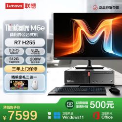 联想 ThinkCentre M6e 锐龙商用办公高性能台式电脑主机(AMD R7 H255 16GB