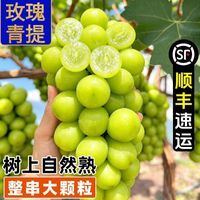 百亿补贴：乐哆源 葡萄阳光玫瑰青提四川应季新鲜水果葡提子5斤