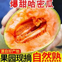 百亿补贴：五叔家 哈密瓜 4.5斤起 西州蜜 新鲜脆甜多汁