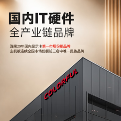 七彩虹 i5-9500 16GB+512GB 单主机 组装电脑