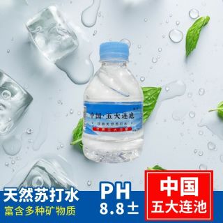 五大连池矿泉水 天然苏打水 碱性水 小瓶装整箱