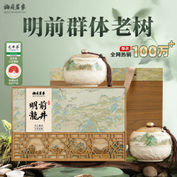 梅府茗家 2026新茶明前龙井绿茶叶礼盒装一级200g春茶送礼物长辈