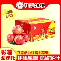 百亿补贴：月亮妹妹 山东烟台栖霞红富士苹果脆甜5斤水果彩箱礼盒80-85mm