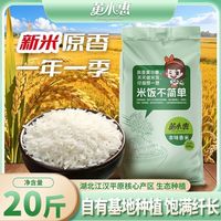 今日必买：黄小惠 本味香米20斤装大米新米南方丝苗米长粒米茉莉稻香米象牙米