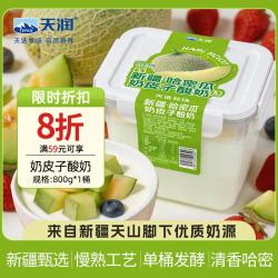天润 新疆网红风味 哈密瓜奶皮子酸奶 低温酸奶 800g*1