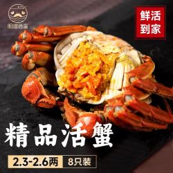 阳澄逍遥 大闸蟹六月黄2.3-2.6两8只 现货