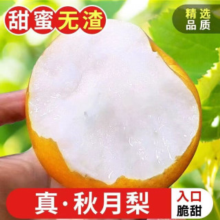 OLOEY 秋月梨 精选 2.2kg 生鲜水果