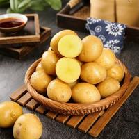 新鲜现挖黄心小土豆当季蔬菜洋芋马铃薯迷你烤土豆产地直发包邮 新鲜小土豆2斤（烤土豆必备）