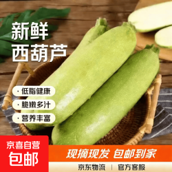 云南高山西葫芦现摘现发新鲜蔬菜生鲜三月瓜 云南小瓜 2斤