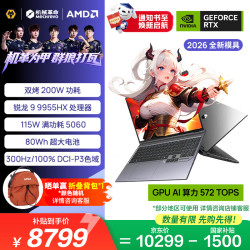 机械革命 蛟龙16Pro R9-9955HX RTX5060 300Hz 16G+1T 笔记本电脑