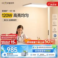 童视界 普瑞红光护眼大路灯 全光谱 120W 落地台灯