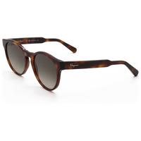 Salvatore Ferragamo 女士太阳镜SF1068S-240