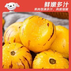 京觅 云南石林人参果 单果120g+ 4.5斤