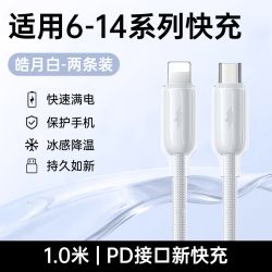 动派 适用苹果14promax充电器iPhone13氮化镓快充头线12手机PD30W车载11平板plus2米8/7数据线一套
