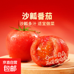 京喜自营-专用品牌 宁夏原生态水果普罗旺斯沙瓤西红柿儿时番茄味 西红柿 5斤