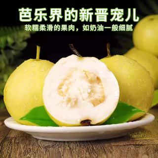 福建白心芭乐新鲜水果5斤番石榴当季软甜奶油胭脂红包邮双拼 净重1斤单果130-160g