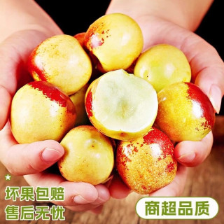 耀好 正宗陕西大荔冬枣 自家果园 现摘现发 5斤装