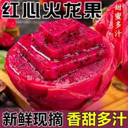 绿念 广西红心火龙果 5斤 包邮