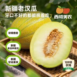 西域美农 新疆 吐鲁番老汉瓜 4斤
