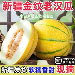 奇果出疆 新疆 金纹老汉瓜 7-8斤