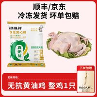 移动端：哥哥鲜 无抗黄油鸡 散养原粮饲喂 生鲜整鸡