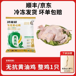 移动端：哥哥鲜 无抗黄油鸡 散养原粮饲喂 生鲜整鸡
