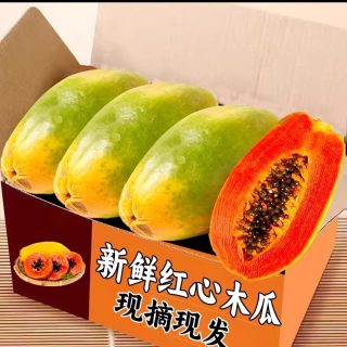 鲜蔡家 广西红心木瓜 9斤