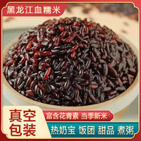 永祥龙 黑龙江血糯米东北江米奶茶杂粮酿酒新米大米包粽子精选紫米