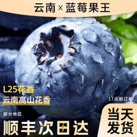 移动端:无品牌 云南蓝莓 中果 2盒