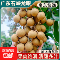 京东 正宗广东老树石硖储良龙眼现摘现发桂圆时令生鲜新鲜水果京东冷链 果园现摘现发 3斤带箱（净重2.5斤）